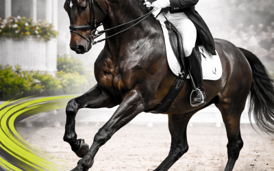 Dressurturnier Villmar